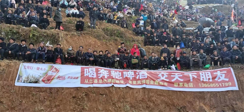 團(tuán)隊風(fēng)采